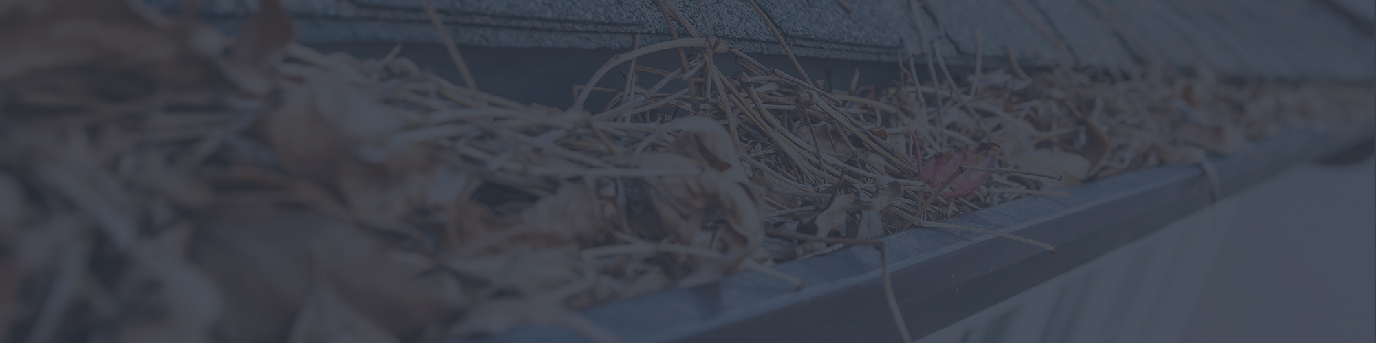 Seattle, WA Affordable Gutter Cleaning Services