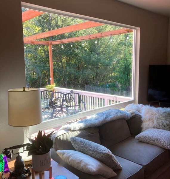 window contractor