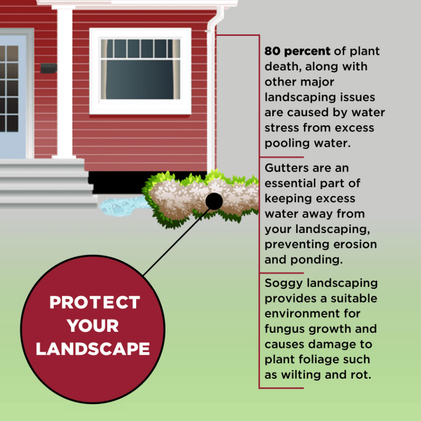 9 Common Gutter Problems