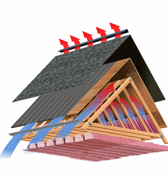 Attic Health