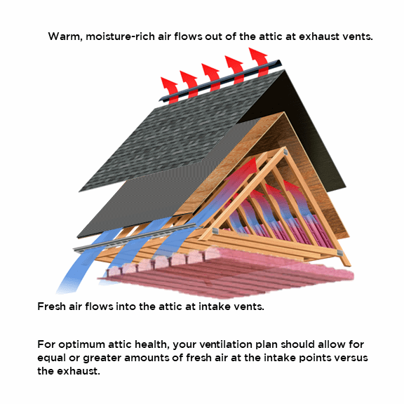 Attic Health