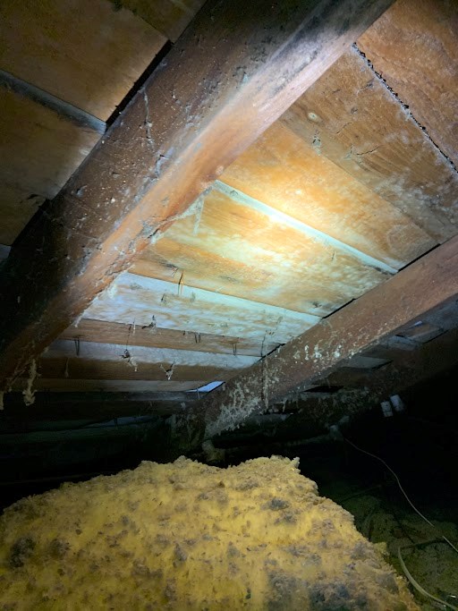 Mold forming on attic sheeting