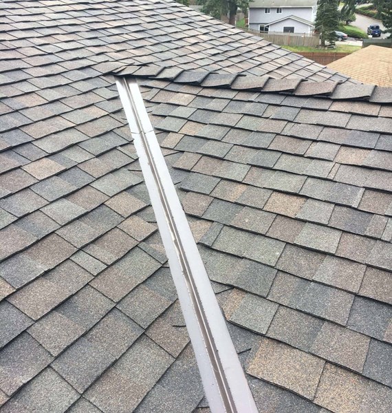 edmonds wa roof replacement