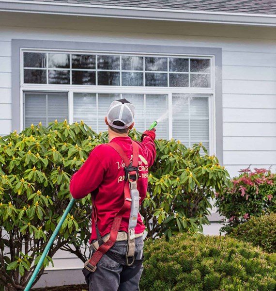 roof cleaning valentine roofing
