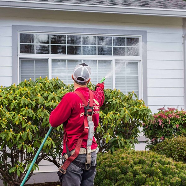 roof cleaning valentine roofing