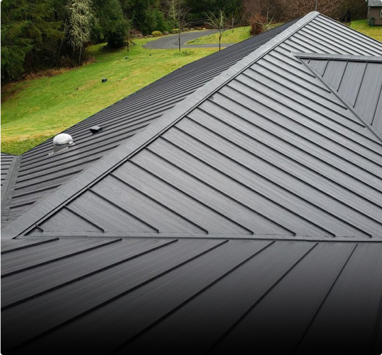 Black metal roof on two-story home in Seattle