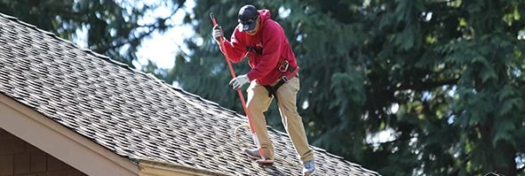 Roof Cleaning Company Kingwood Tx