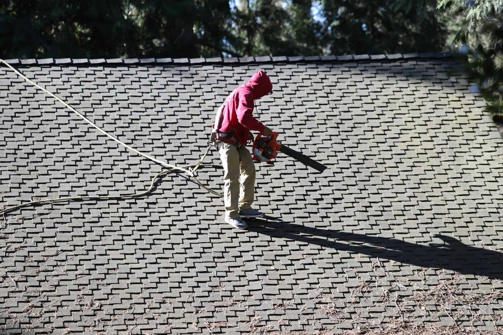 Roof Cleaning Near Me