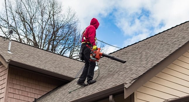 Contractor removing branches from a roof in Seattle, Washington