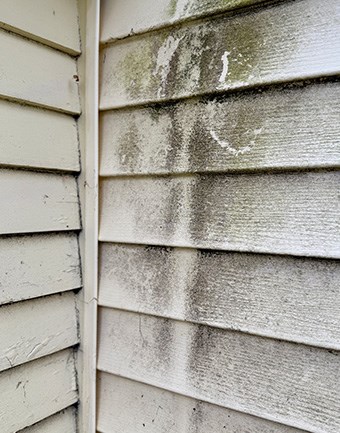 Weathered siding panels on a Seattle-area home