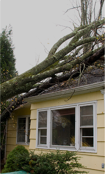 Harsh weather damage insurance claim for Seattle residential roof